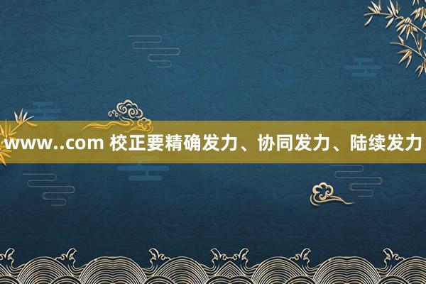 www..com 校正要精确发力、协同发力、陆续发力