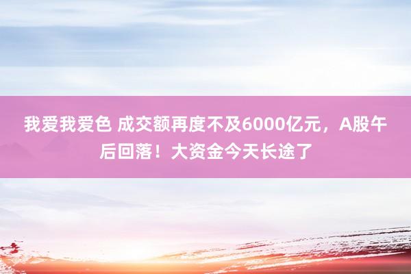 我爱我爱色 成交额再度不及6000亿元，A股午后回落！大资金今天长途了