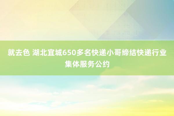 就去色 湖北宜城650多名快递小哥缔结快递行业集体服务公约