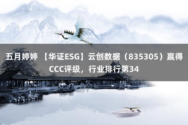 五月婷婷 【华证ESG】云创数据（835305）赢得CCC评级，行业排行第34