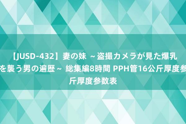 【JUSD-432】妻の妹 ～盗撮カメラが見た爆乳の妹を襲う男の遍歴～ 総集編8時間 PPH管16公斤厚度参数表