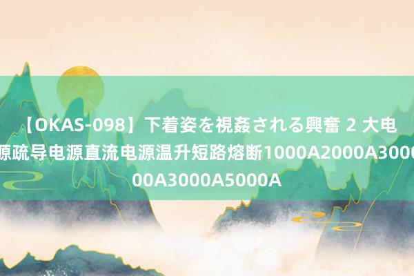 【OKAS-098】下着姿を視姦される興奮 2 大电流恒流电源疏导电源直流电源温升短路熔断1000A2000A3000A5000A