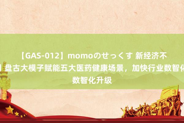 【GAS-012】momoのせっくす 新经济不雅察丨盘古大模子赋能五大医药健康场景，加快行业数智化升级