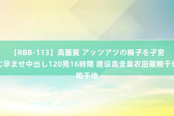 【RBB-113】高画質 アッツアツの精子を子宮に孕ませ中出し120発16時間 建设高圭臬农田藏粮于地