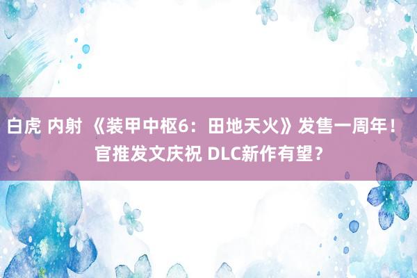 白虎 内射 《装甲中枢6：田地天火》发售一周年！ 官推发文庆祝 DLC新作有望？