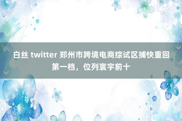 白丝 twitter 郑州市跨境电商综试区捕快重回第一档，位列寰宇前十