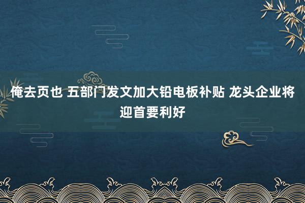 俺去页也 五部门发文加大铅电板补贴 龙头企业将迎首要利好